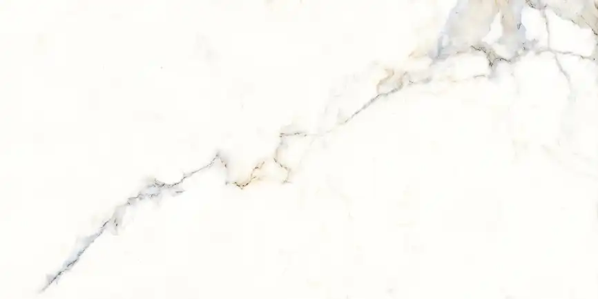 Керамогранит AZARIO MILKY WAY 60х120 Glossy (P3211112136G) фото 5