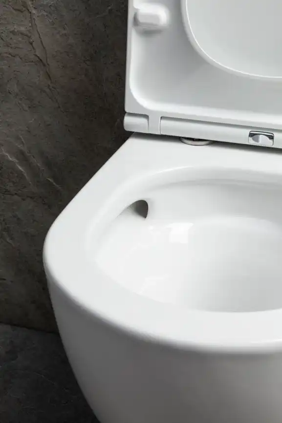 Подвесной унитаз Allen Brau Priority Tornado 4.31009.20 безободковый, цвет белый глянец фото 5