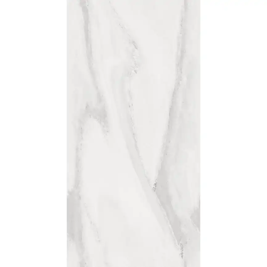 Керамогранит AVS Lasa Silver 60x120 полированный, серый фото 3