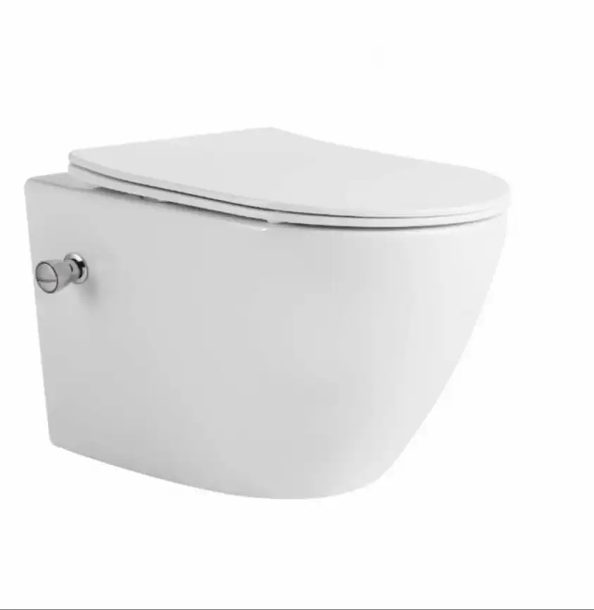 Подвесной унитаз-биде Ceramalux 2196-BD, безободковый с крышкой микролифт, Белый фото 1