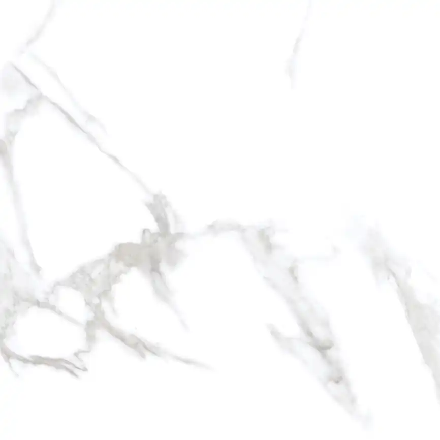 Керамогранит AZARIO DESERT STATUARIO 60x60 Matt (P3211112134M) фото 4