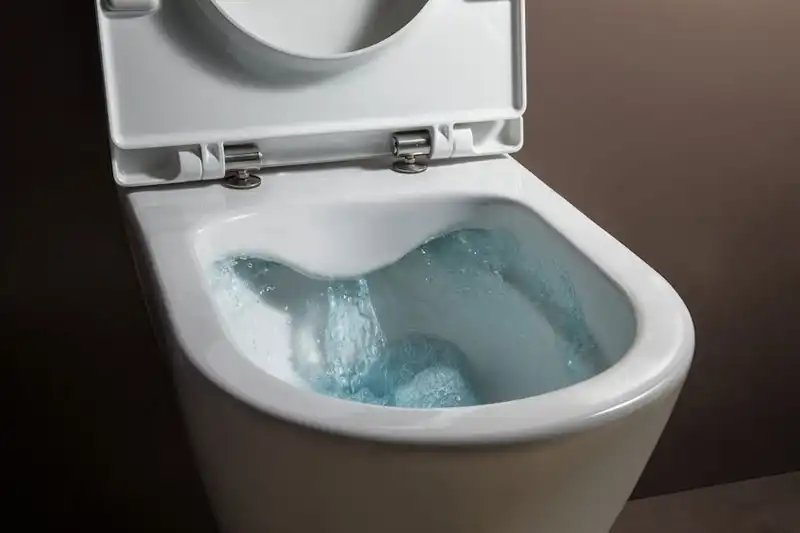 Унитаз подвесной Laufen PRO Rimlless 8.2096.6.000.000.1, безободковый, с тонким сиденьем микролифт фото 2