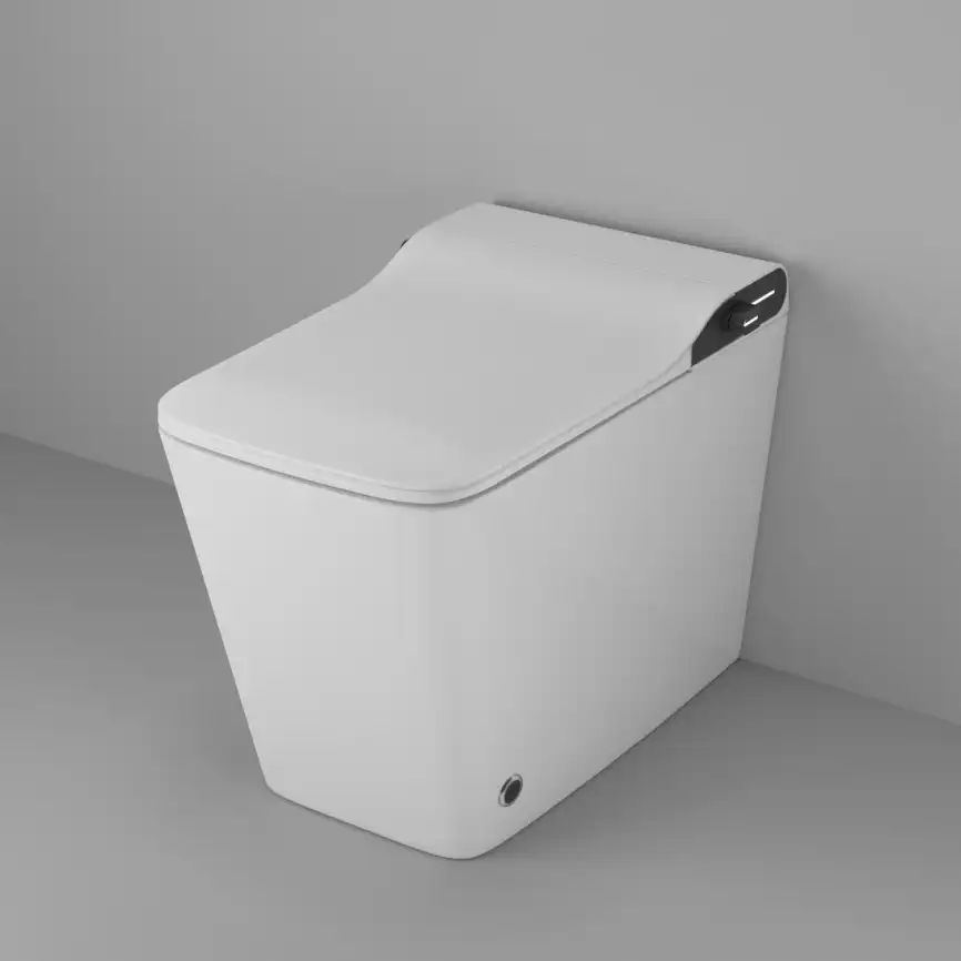 Электронный унитаз-биде Grossman Smart GR-PR-5701 приставной, с импульсным смывом, белый фото 1