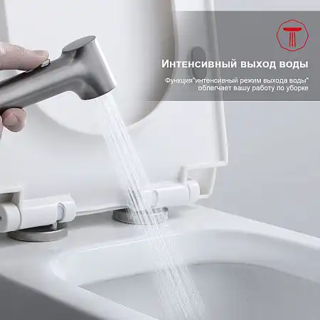 Смеситель с гигиеническим душем Raglo R03.52.09, Графит матовый фото 3