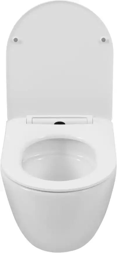 Унитаз подвесной Aquanet Cetus 3.0 Tornado с сиденьем микролифт 348005, белый фото 7