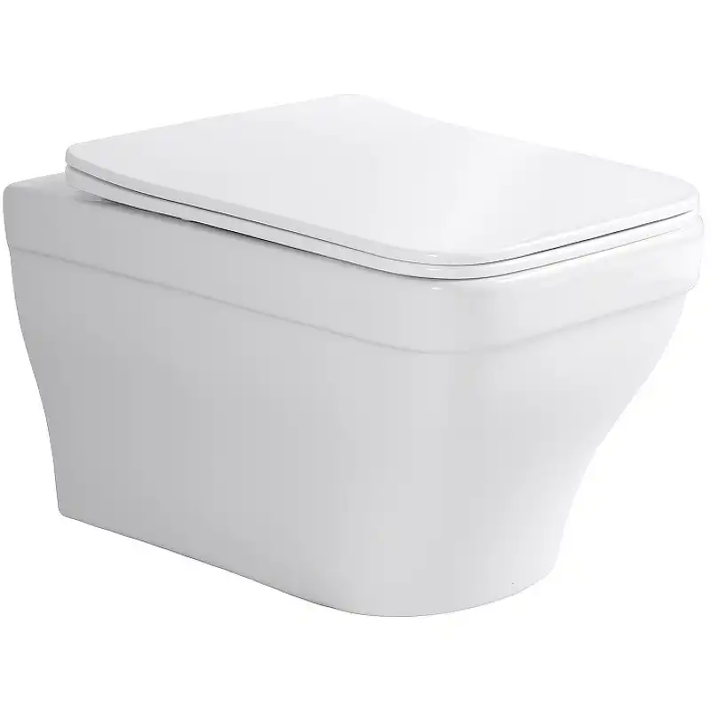 Подвесной унитаз Aquatek Амадео AQ1180-00 безободковый, с сиденьем микролифт, Белый фото 1