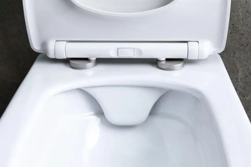 Подвесной унитаз Allen Brau Liberty 4.33007.20 безободковый, цвет белый фото 11