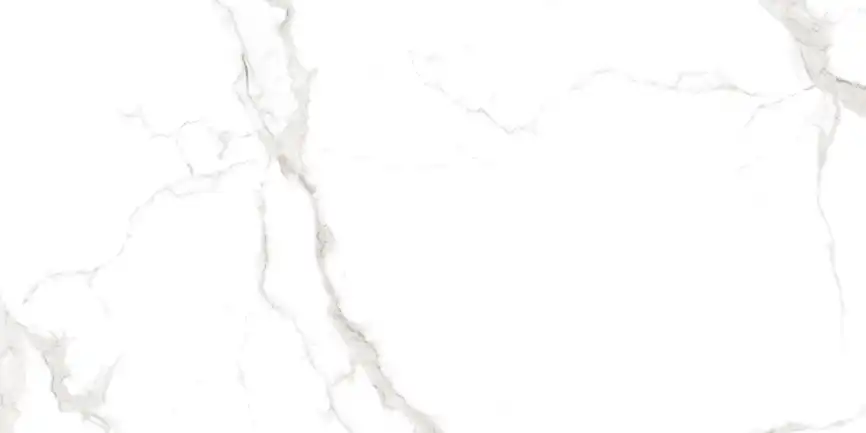 Керамогранит AZARIO MARTIN GREY 60х120 Glossy (F4110821124G) фото 3