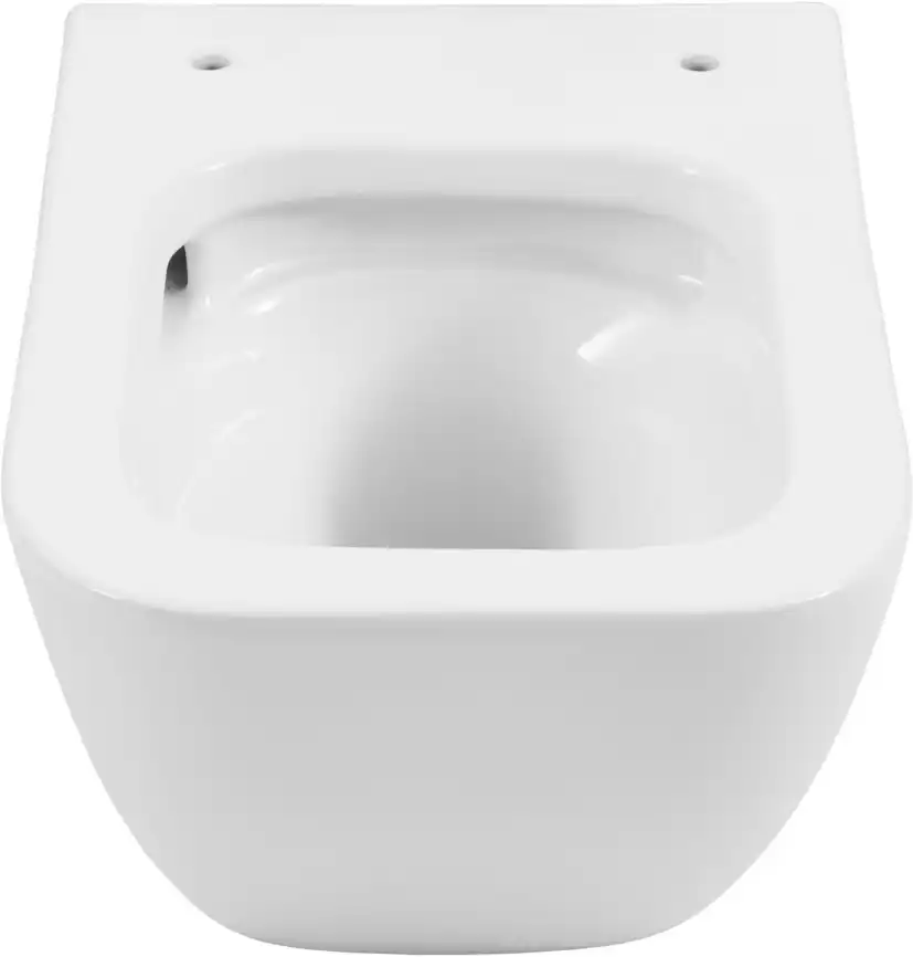 Подвесной унитаз Allen Brau Liberty 4.33012.20, смыв торнадо, белый фото 13