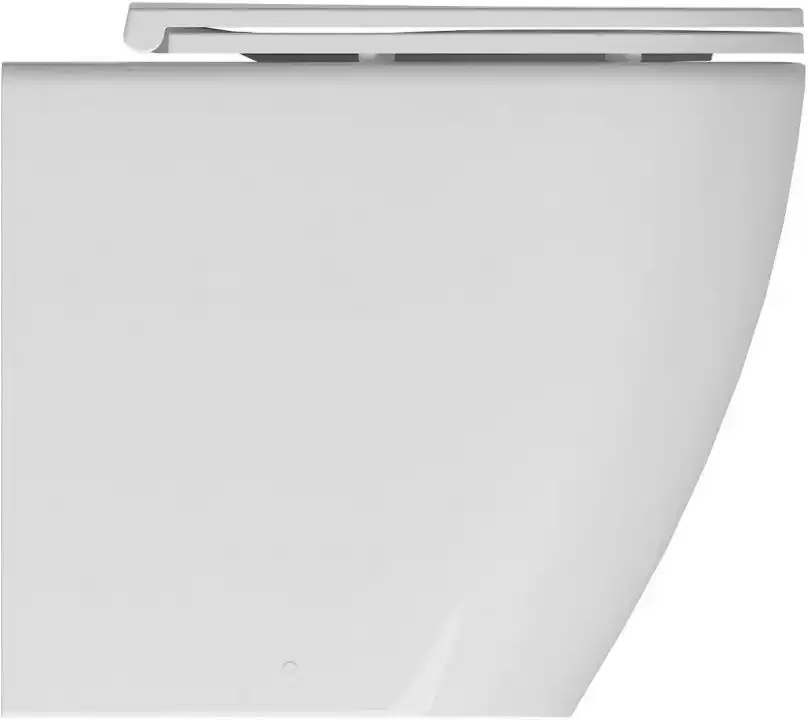 Приставной унитаз Allen Brau Reality 4.32004.20 белый глянец фото 1