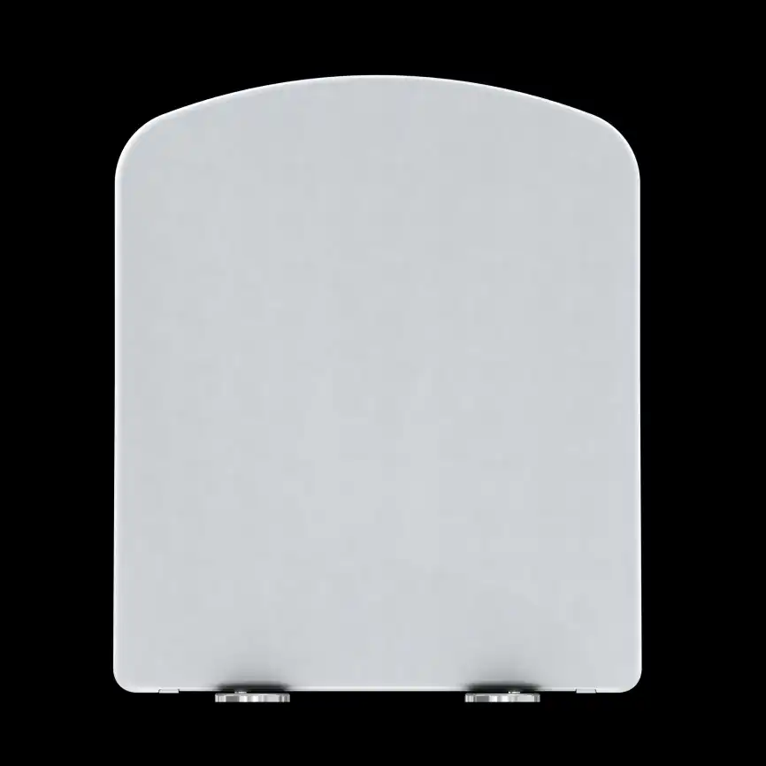 Крышка-сиденье для унитаза Allen Brau Liberty 4.33006.20 белый глянец фото 5