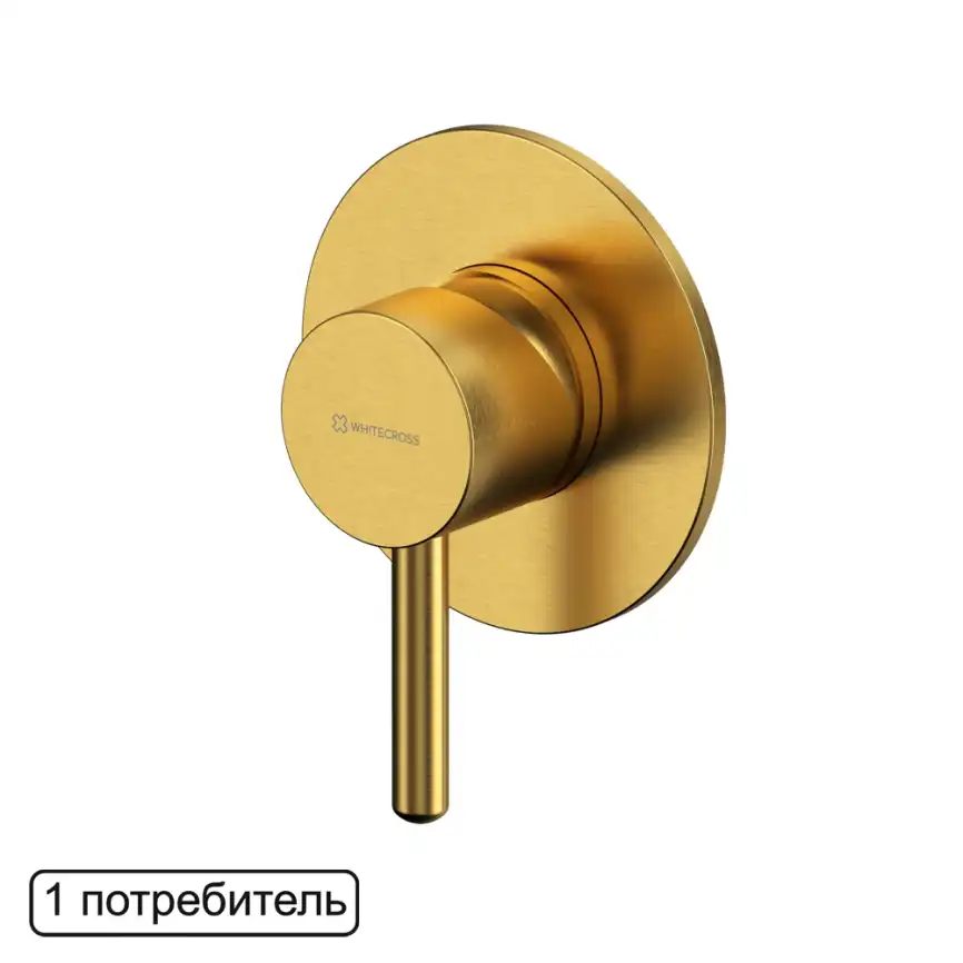 Смеситель для душа Whitecross Y brushed gold скрытого монтажа Золото брашированное, Y1245GLB фото 1