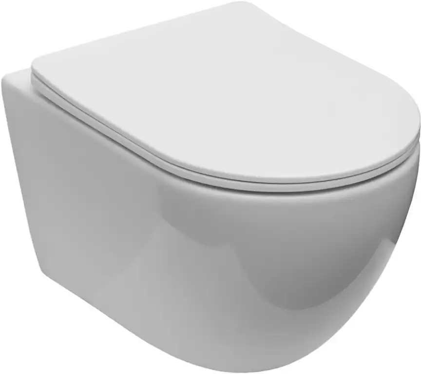Унитаз подвесной Logan Tornado L1W с сиденьем микролифт, белый фото 1