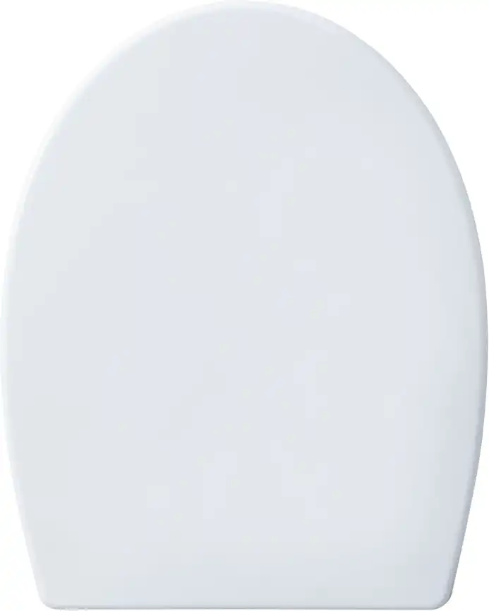 Унитаз подвесной Aquanet ZV-1 с сиденьем микролифт, белый фото 6