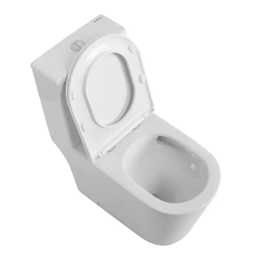 Унитаз-моноблок BelBagno TRE-TOR BB673CP-MN-TOR/SC, безободковый, со смывом Торнадо, с сиденьем микролифт, Белый фото 6