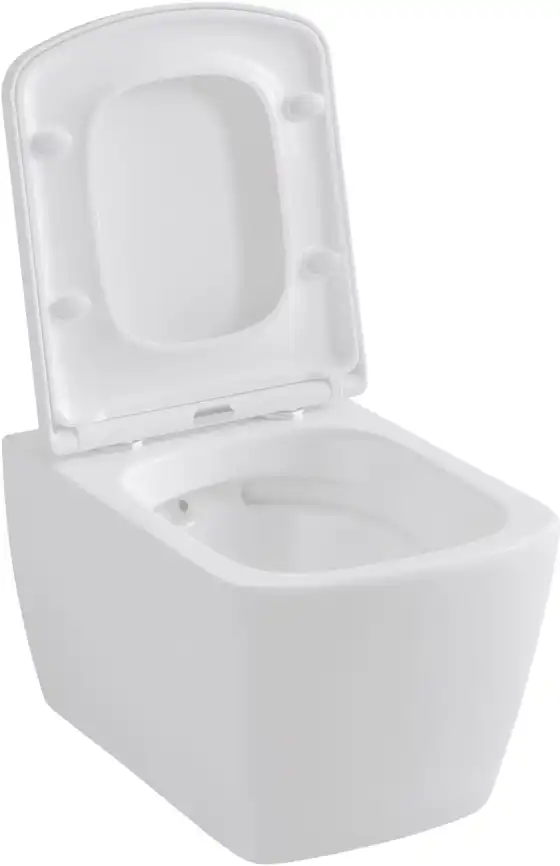 Подвесной безободковый унитаз Allen Brau Liberty 4.33004.20 без сиденья, белый глянец фото 3