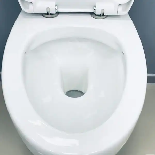 Унитаз подвесной AVS Эллипс 801-0043-P-R-GW безободковый, белый фото 2