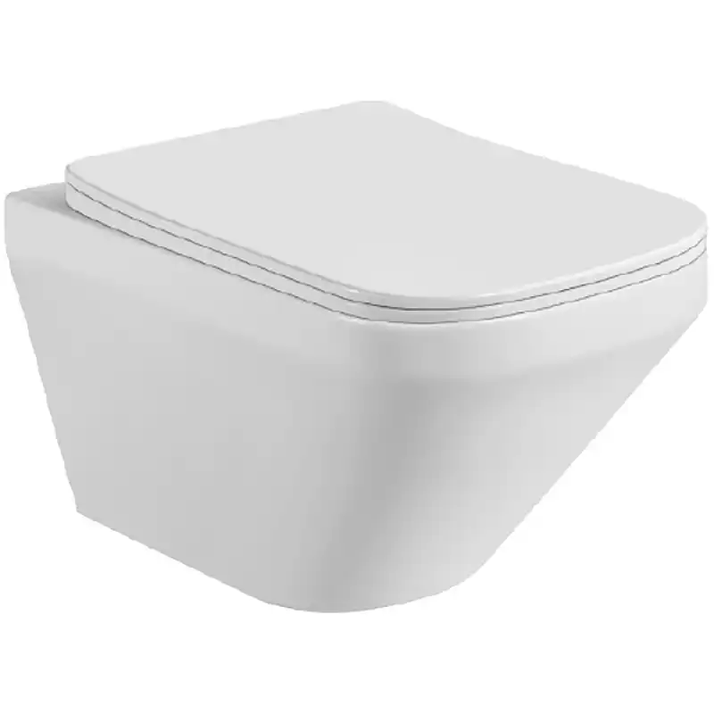 Подвесной унитаз Aquatek Лира AQ1155-00 безободковый, с сиденьем микролифт, Белый фото 1