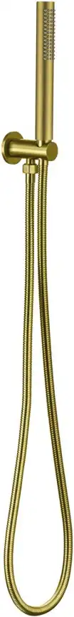 Душевой гарнитур Allen Brau Priority 5.31019-GB золото брашированное фото 1