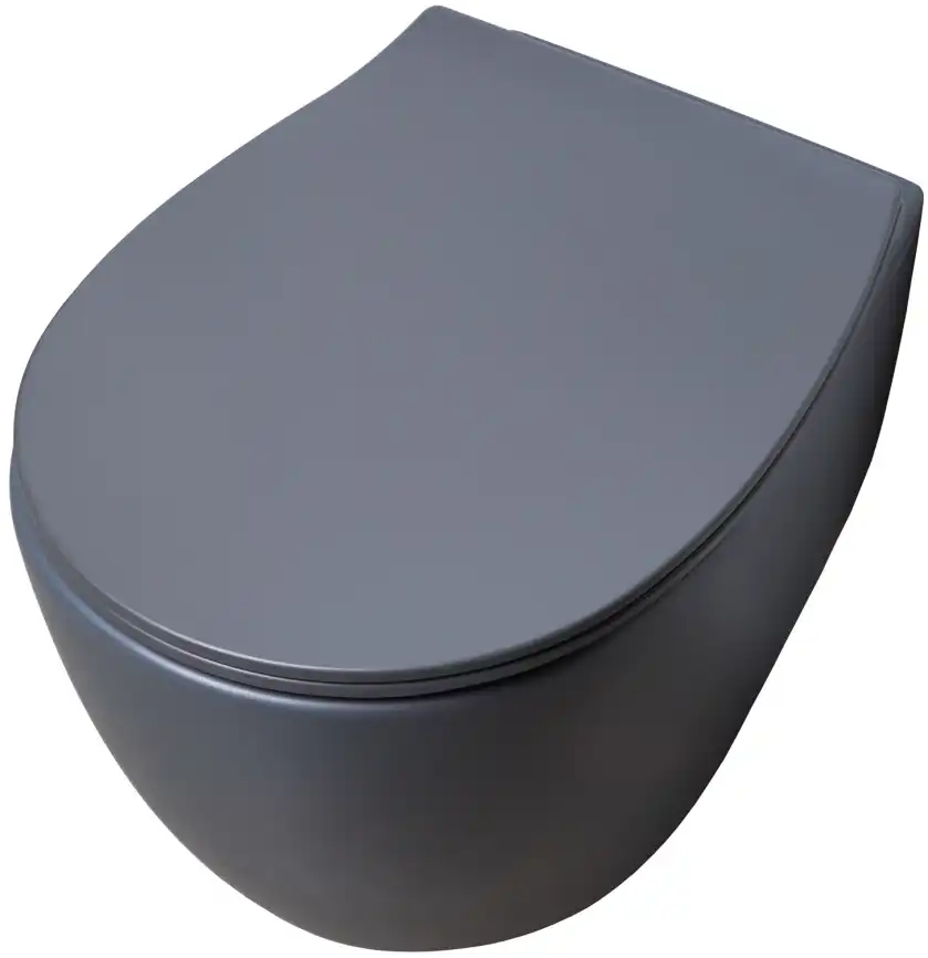 Подвесной безободковый унитаз Allen Brau Fantasy 4.11004.AN без сиденья, антрацит фото 9