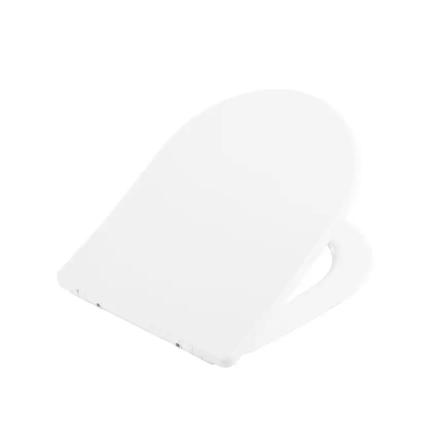 Крышка-сиденье BelBagno BB2031SC фото 1