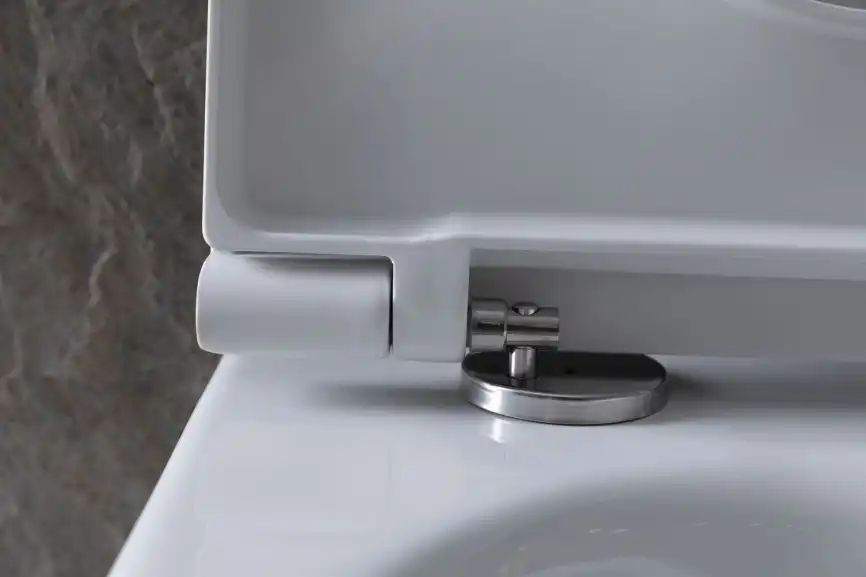 Подвесной безободковый унитаз Allen Brau Reality 4.32006.20 без сиденья, белый глянец фото 9