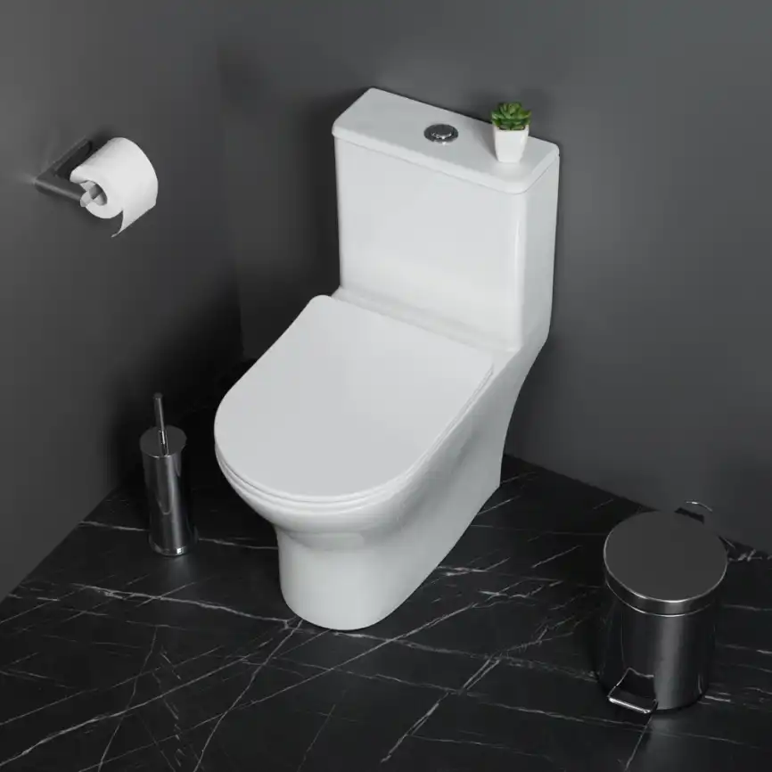 Унитаз-моноблок BelBagno LOUNGE BB8618CPR-MN/SC, безободковый, с сиденьем микролифт, Белый фото 8