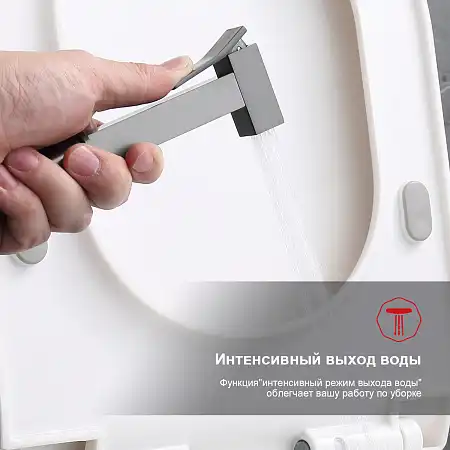 Смеситель с гигиеническим душем Raglo R01.52.09, Графит матовый фото 3