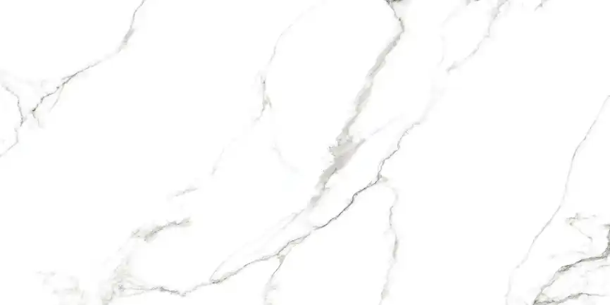 Керамогранит AZARIO CANOVA WHITE 60х120 Sugar (P4110821144) фото 6