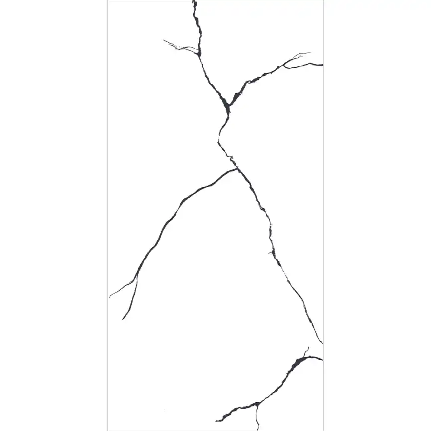 Керамогранит AVS Bettal Black 60x120 полированный, белый фото 1