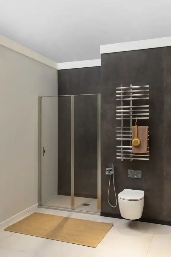 Душевая дверь Allen Brau Priority 160 см, 3.31038.BA, профиль Серебро, стекло Прозрачное фото 5