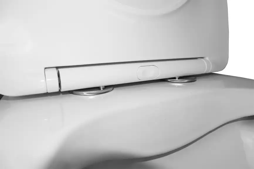 Унитаз-моноблок Azario Terni AZ-8618M безободковый, в комплекте с сиденьем микролифт, Белый мрамор фото 6