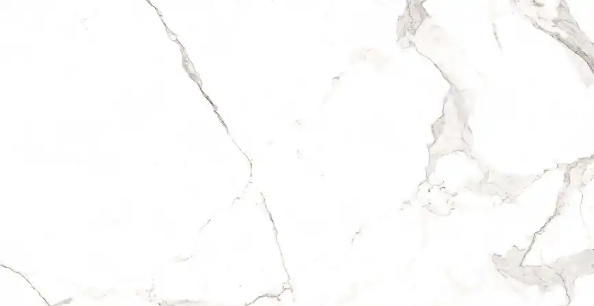 Керамогранит AZARIO STATUARIO CLASSIC 60х120 Matt (F2020821120M) фото 6