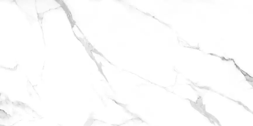 Керамогранит AZARIO JAVIER SATVARIO 60х120 Glossy (F4110821123G) фото 1