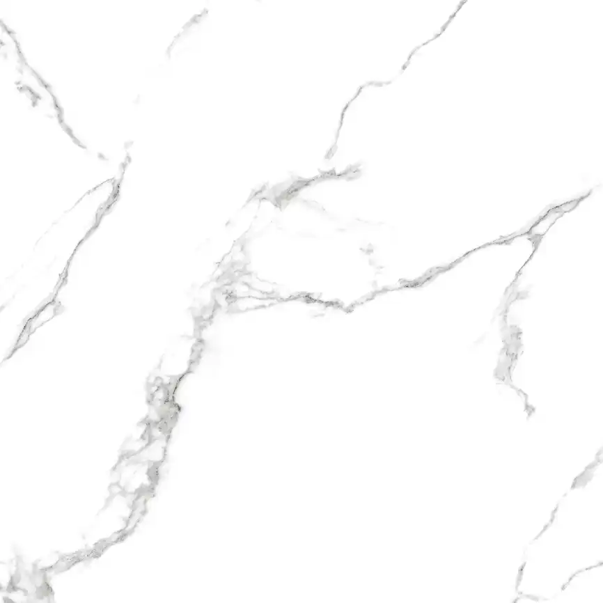 Керамогранит AZARIO CALACATTA  ELEGANZA 60х60 Glossy (F109082189G) фото 14
