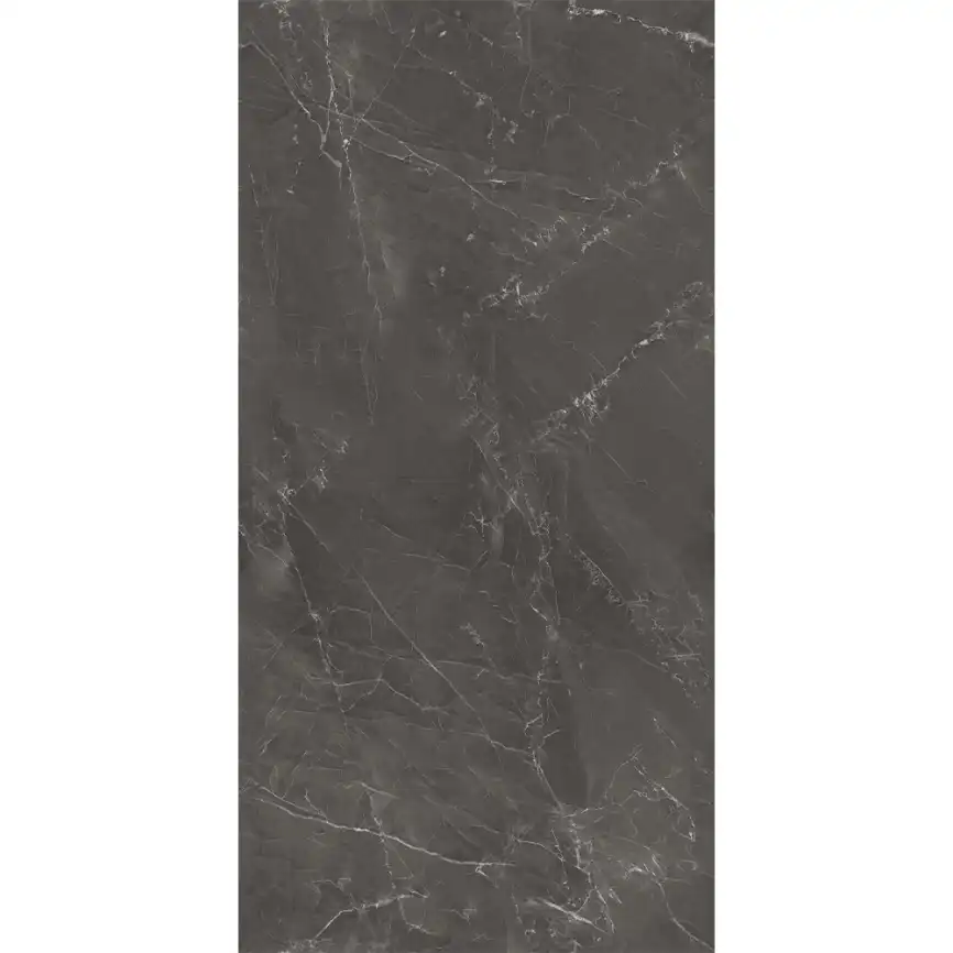 Керамогранит AVS Nivea Grey 60x120 полированный, серый фото 1