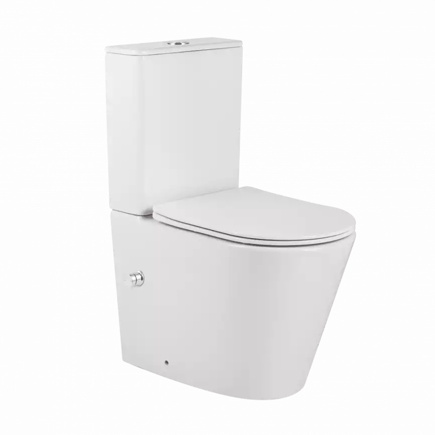Напольный унитаз-биде ceramalux 2179-BD, безободковый, Белый фото 1