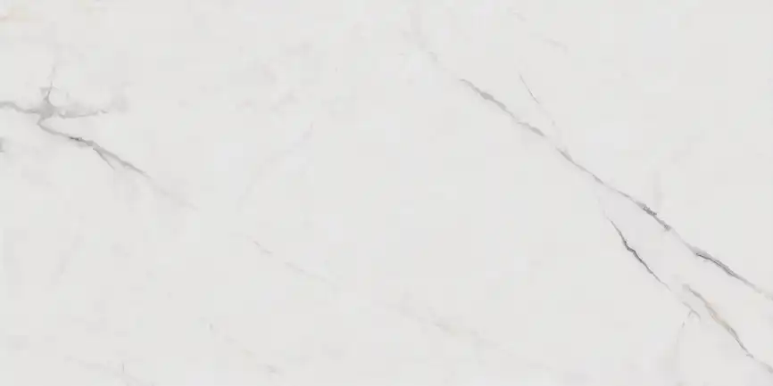 Керамогранит AZARIO CRUSTY BIANCO FANTASTICO 80х160 Carving (F231123016C) фото 2