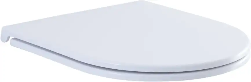 Сиденье для унитаза Aquanet Lake белый фото 7