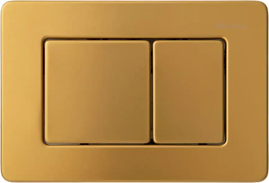 Клавиша смыва Allen Brau Infinity 9.20006.GB золото браш фото 1