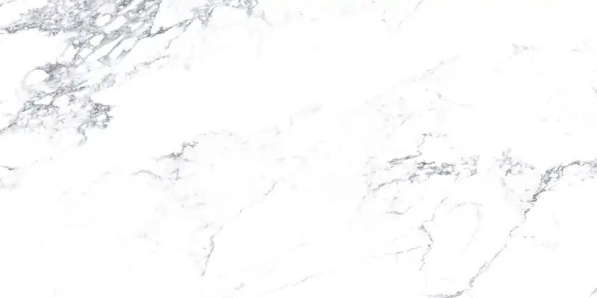 Керамогранит AZARIO CALACATTA AURA GREY 60х120 Glossy (F4110821121G) фото 2