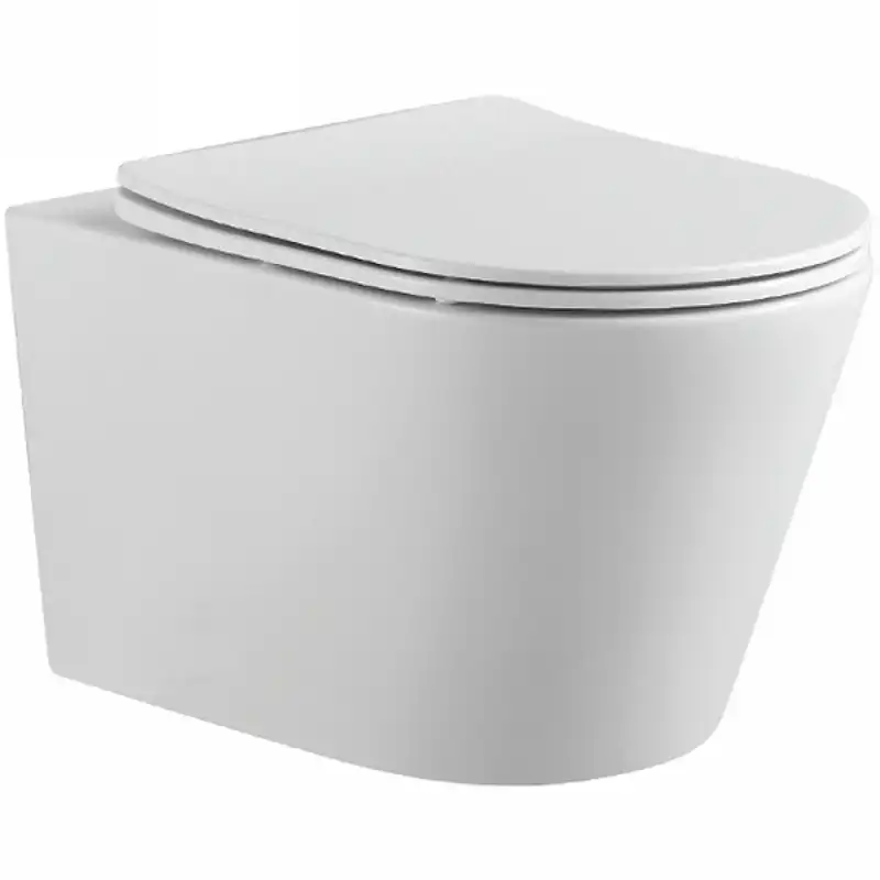 Подвесной унитаз Aquatek Вега AQ1905-MW безободковый, с сиденьем микролифт, Белый матовый фото 1
