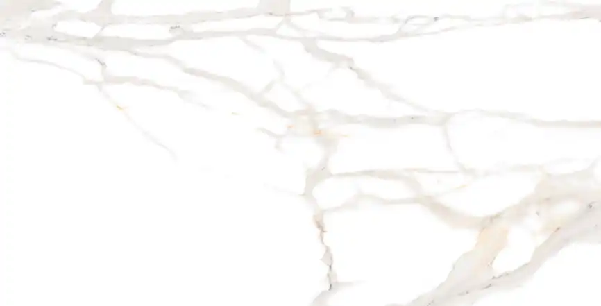 Керамогранит AZARIO STATUARIO GOLD 60х120 Matt (F2030821120M) фото 1