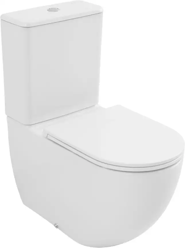 Напольный унитаз Allen Brau Priority Tornado 4.31006.20 безободковый, цвет белый глянец фото 1