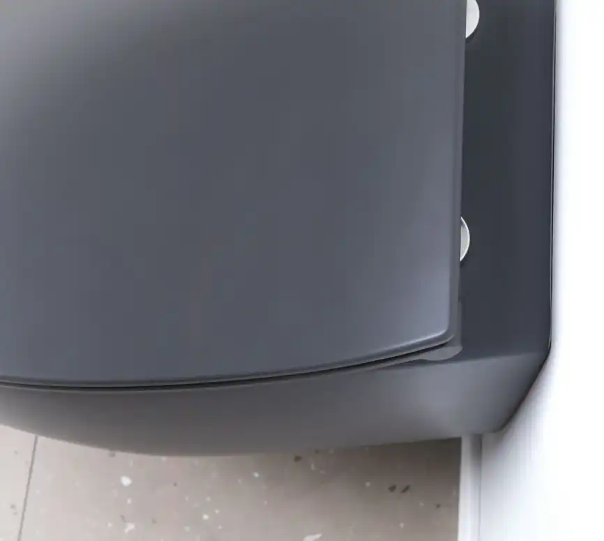 Подвесной безободковый унитаз Allen Brau Fantasy 4.11004.AN без сиденья, антрацит фото 25