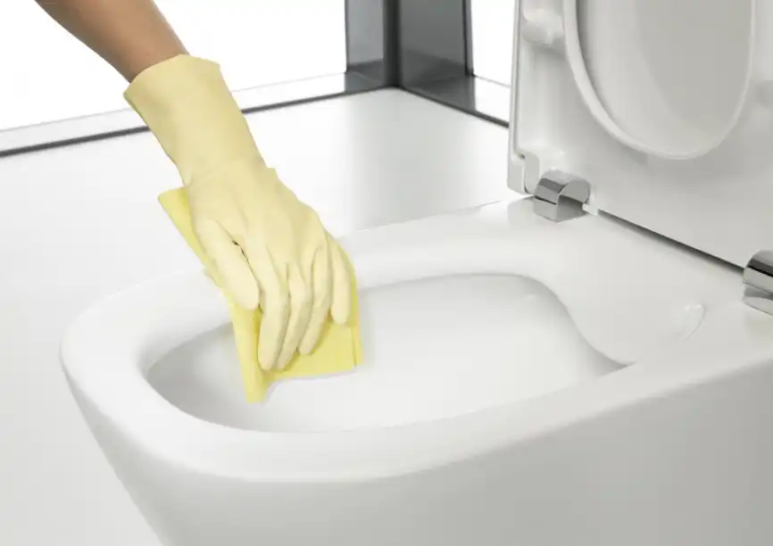 Подвесной унитаз Roca The Gap 540 мм, Rimless 34647L000, белый фото 2