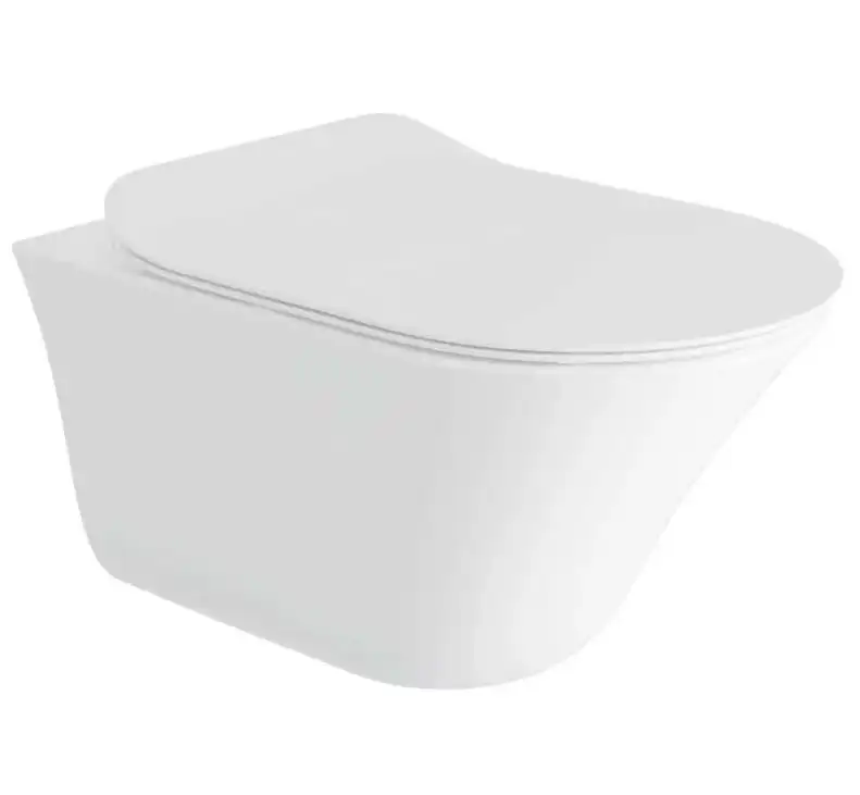 Крышка-сиденье для унитаза Jacob Delafon Vive 28781IN-0, с микролифтом, белая фото 2