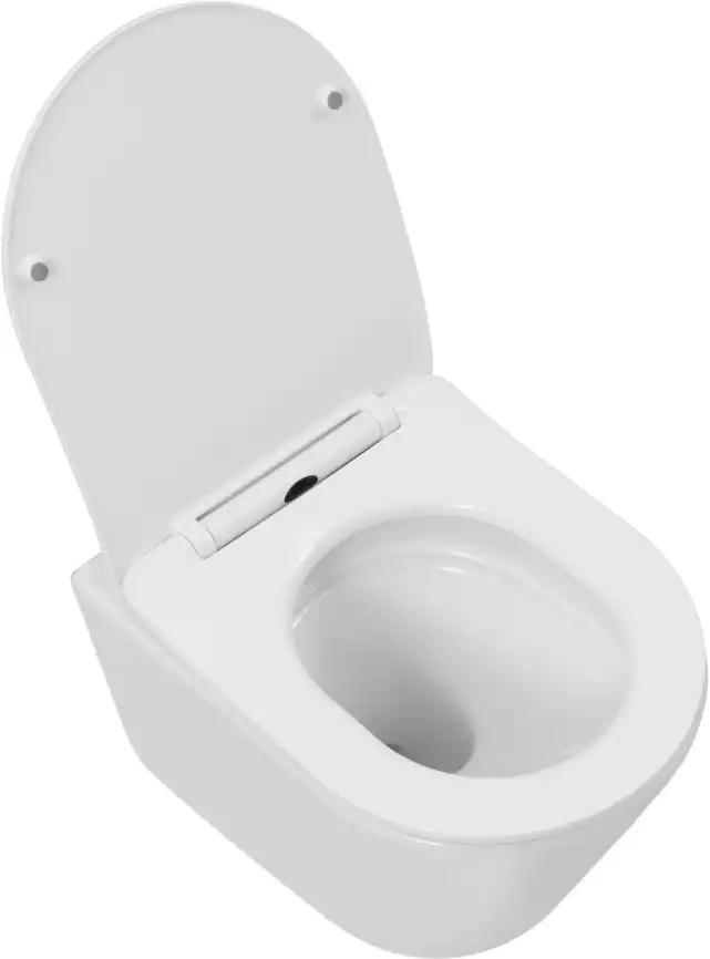 Унитаз подвесной Aquanet Atago 3.0 Tornado с сиденьем микролифт 348006, белый фото 10