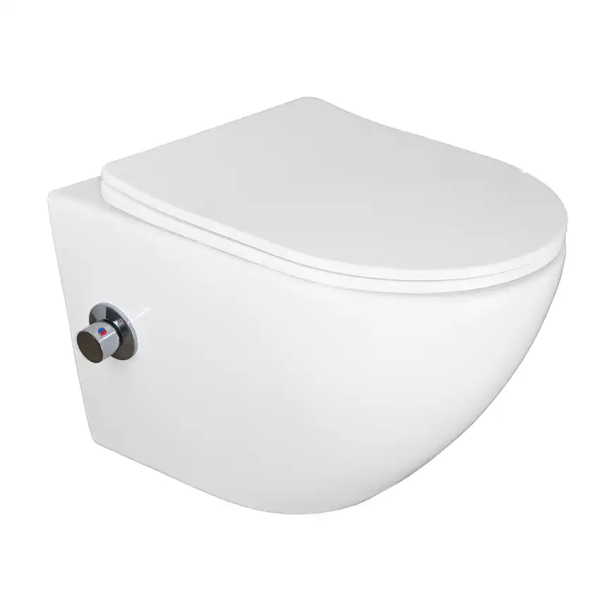 Подвесной унитаз Azario Allegro AZ-3105B c функцией биде, безободковый с сидением микролифт, цвет белый фото 1