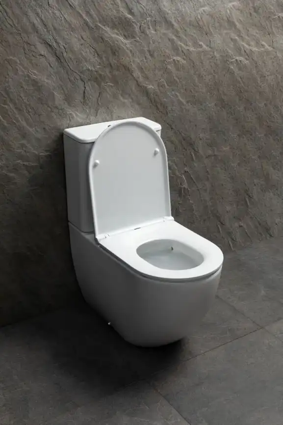 Напольный унитаз Allen Brau Priority Tornado 4.31006.20 безободковый, цвет белый глянец фото 6